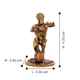 Premium Car Dashboard Resin Bahubali Hanuman Idol